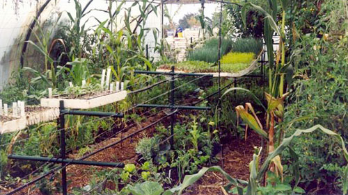 carrusel-instalaciones3